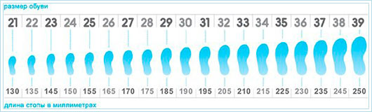 Размерная сетка для детской обуви